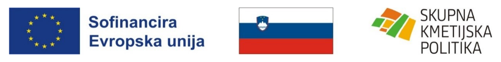 Projekt z namiznim tenisom smo pametnejši in gibčnejši